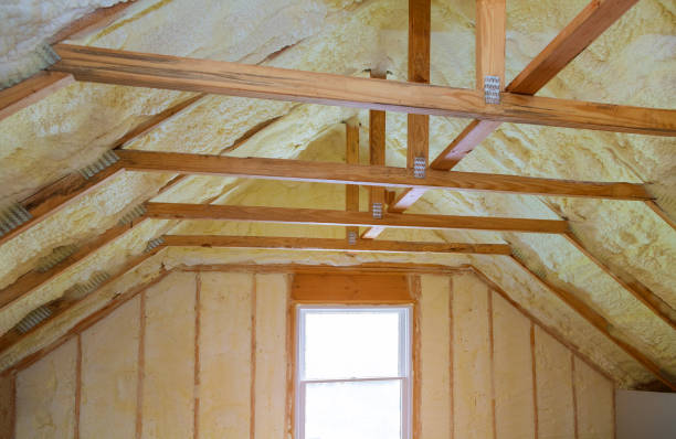 Best Specialized Insulation Services in Maltby, WA
