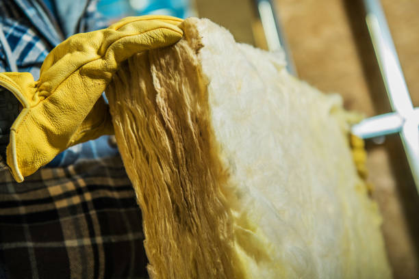 Professional Insulation Contractor in Maltby, WA