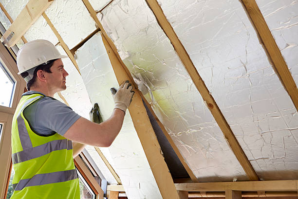 Best Cellulose Insulation in Maltby, WA
