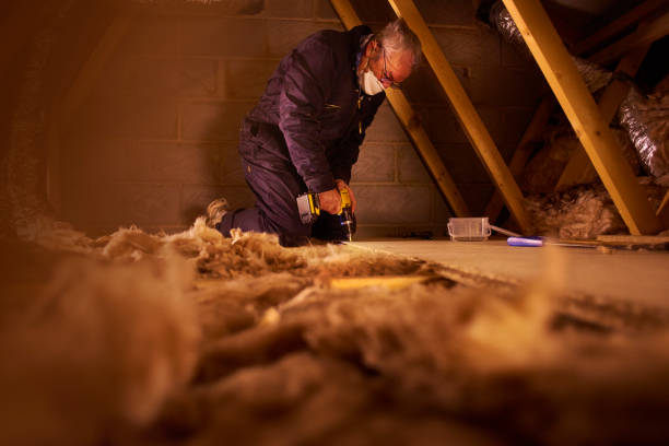 Best Eco-Friendly Insulation in Maltby, WA